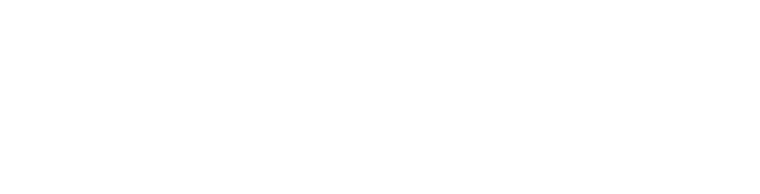 Li Auto
