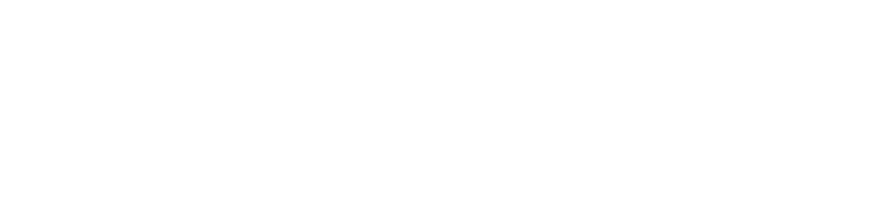 IM Motors